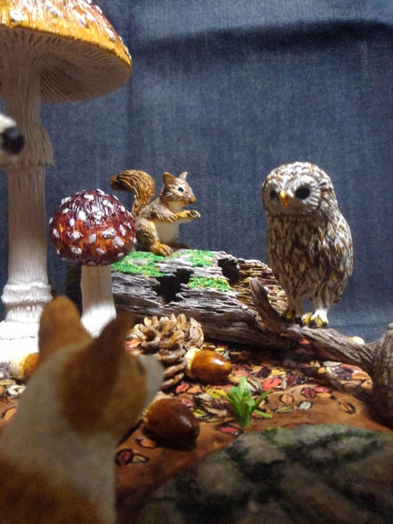 コーギーと森の仲間達