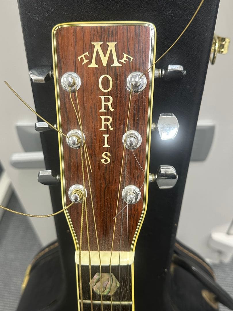 MORRIS アコースティックギター w-60