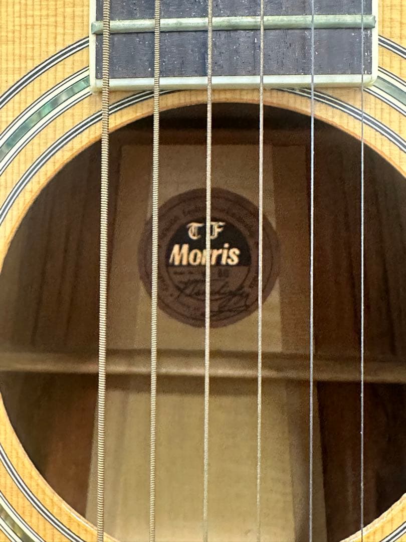 MORRIS アコースティックギター w-60