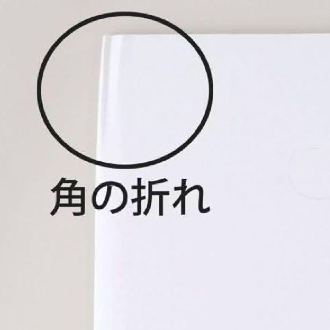 10セット計20個 45299物が置けるダンボールゴミ箱45L（2個）