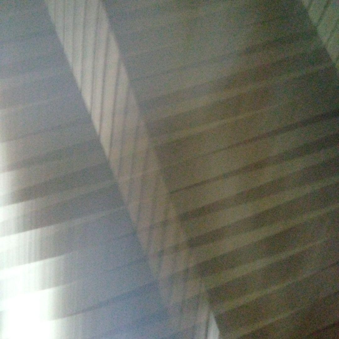 未使用　マルカン　バードパレスキング2台