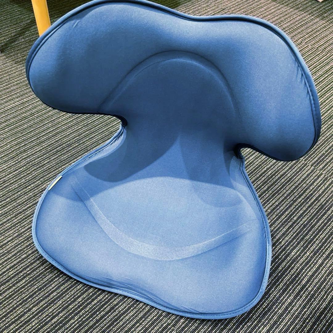 Style ボディメイクシート 骨盤 style smart