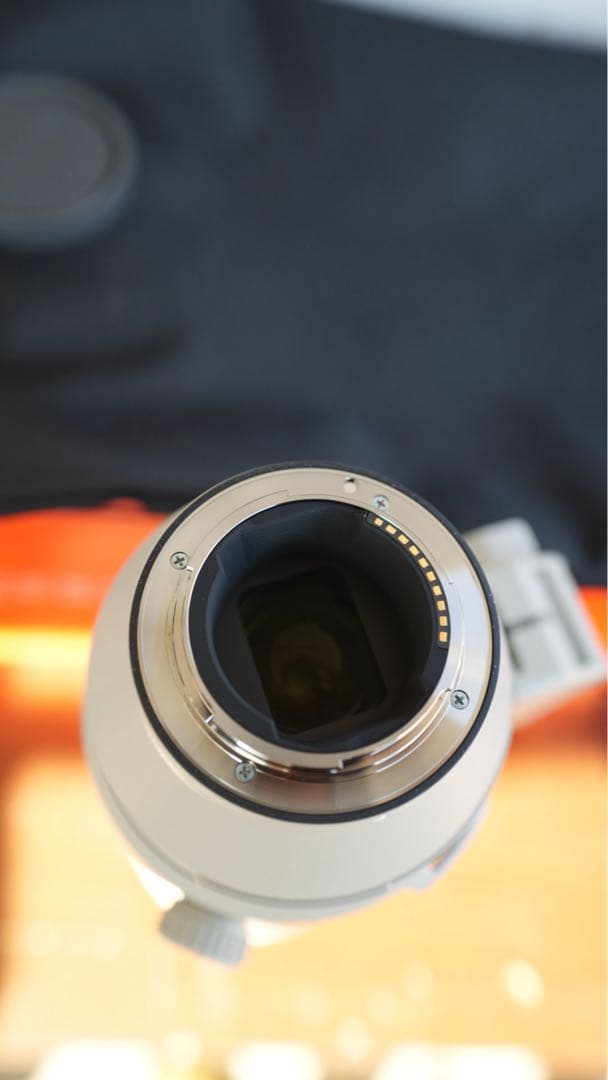 レンズ(ズーム) Sony FE 200-600mm F5.6-6.3 G OSS