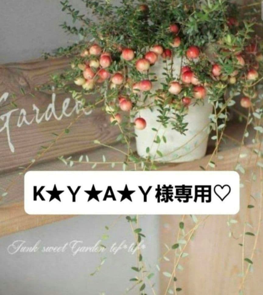 K★Ｙ★A★Yさま専用ページです♬.*゜