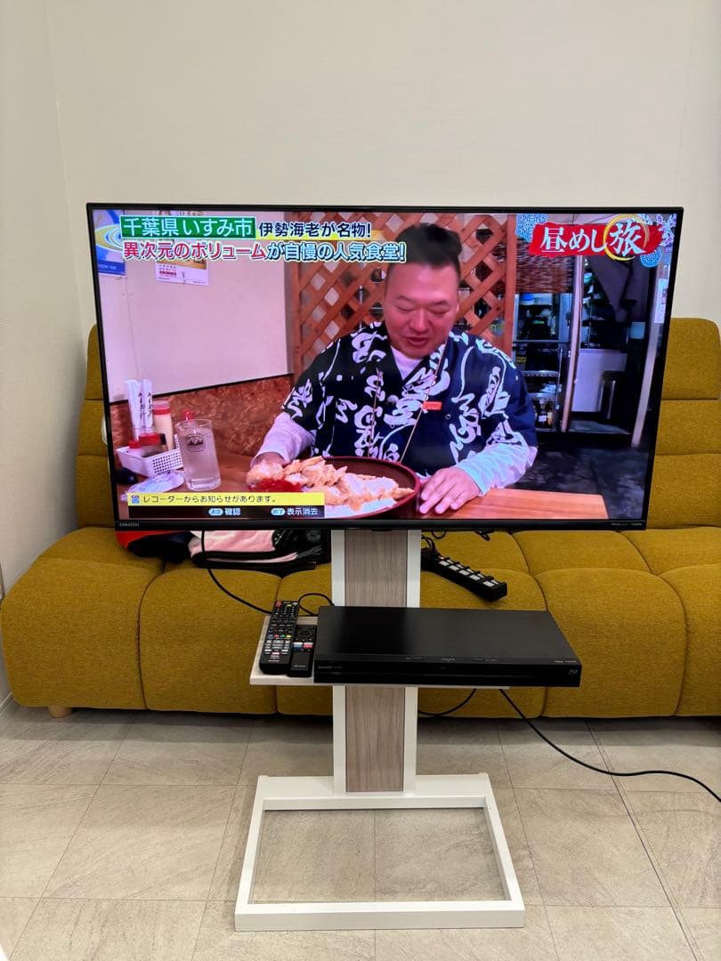 ハヤミ工産 TVラック + ORION液晶テレビ SAFH401 + ブルーレイ