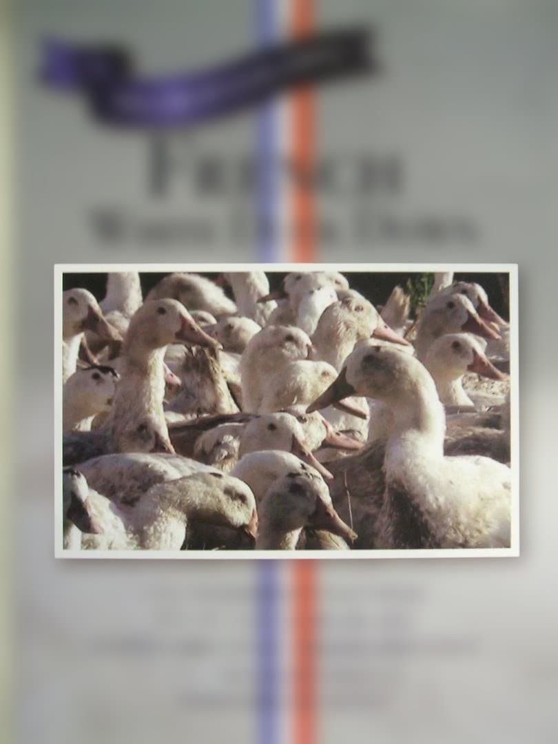 限定お買い得品‼️新品＊ロイヤル＊フランス９３％＊増量１，３キロ＊羽毛布団ＳＰ