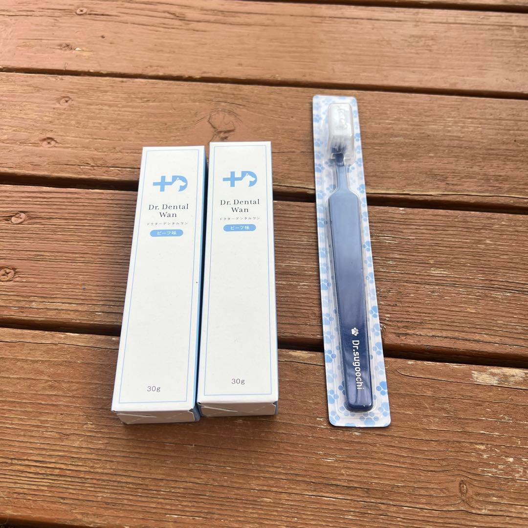 【タイムセール！！】Dr. Dental Wan ビーフ味 歯ブラシセット