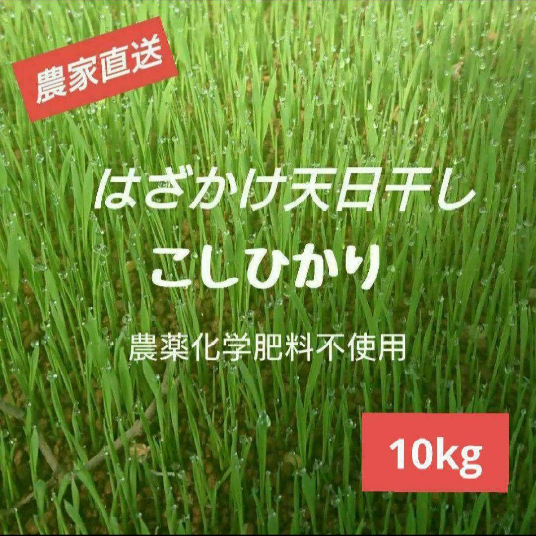 小さな農家の丁寧に育てた☆美味しいお米　長野県産　コシヒカリ 10kg