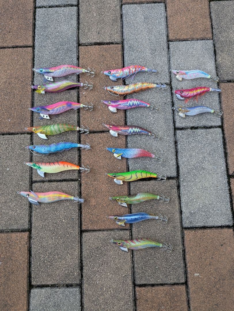 エギ 20個セット