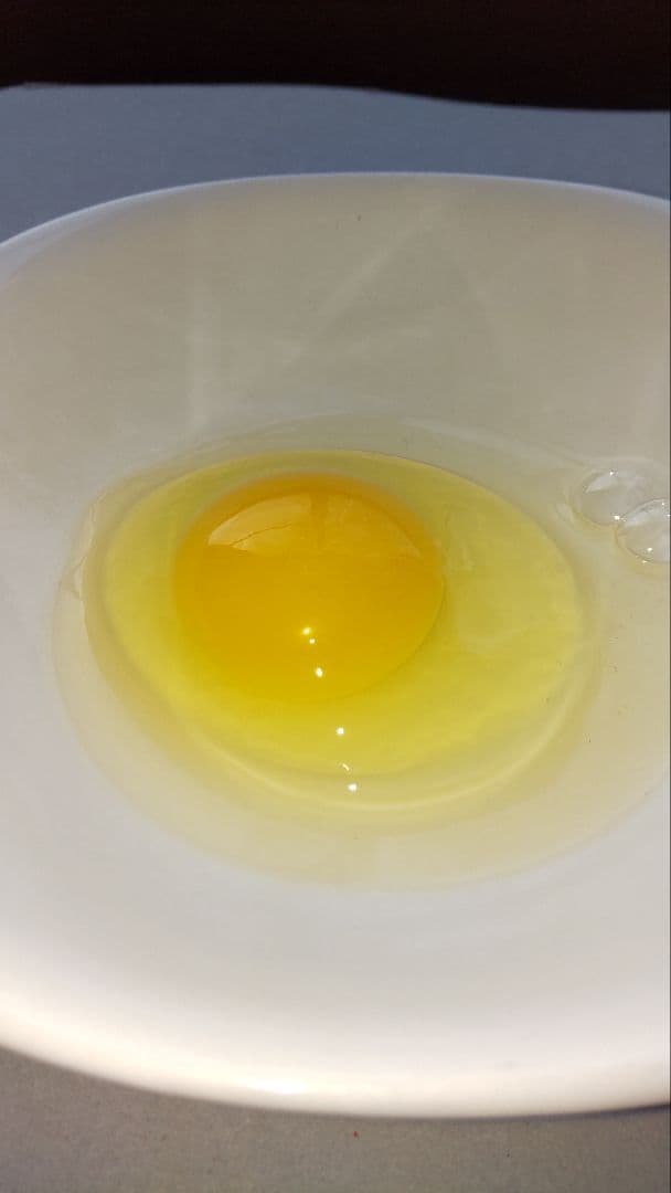 名古屋コーチン 有精卵 100個 保証4個含む