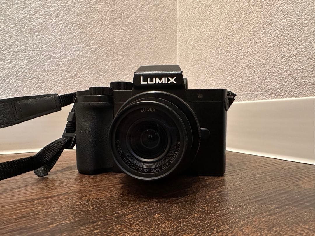 【美品】LUMIX G100／ファインダーひびあり・モニター撮影OK