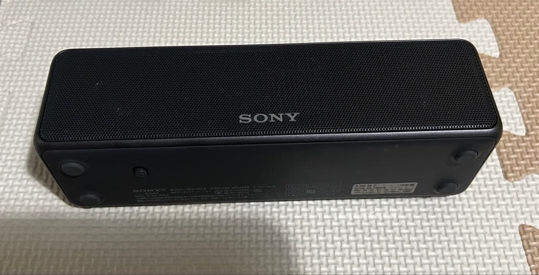 SONY SRS-HG10 h.ear go 2 グレイッシュブラック