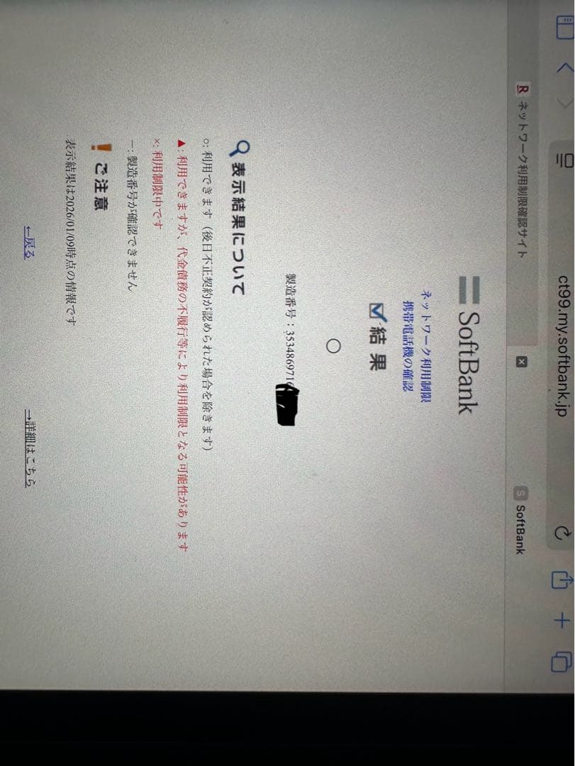 iPad mini第6世代　256GB セルラーモデル　スペースグレイ＋カバー