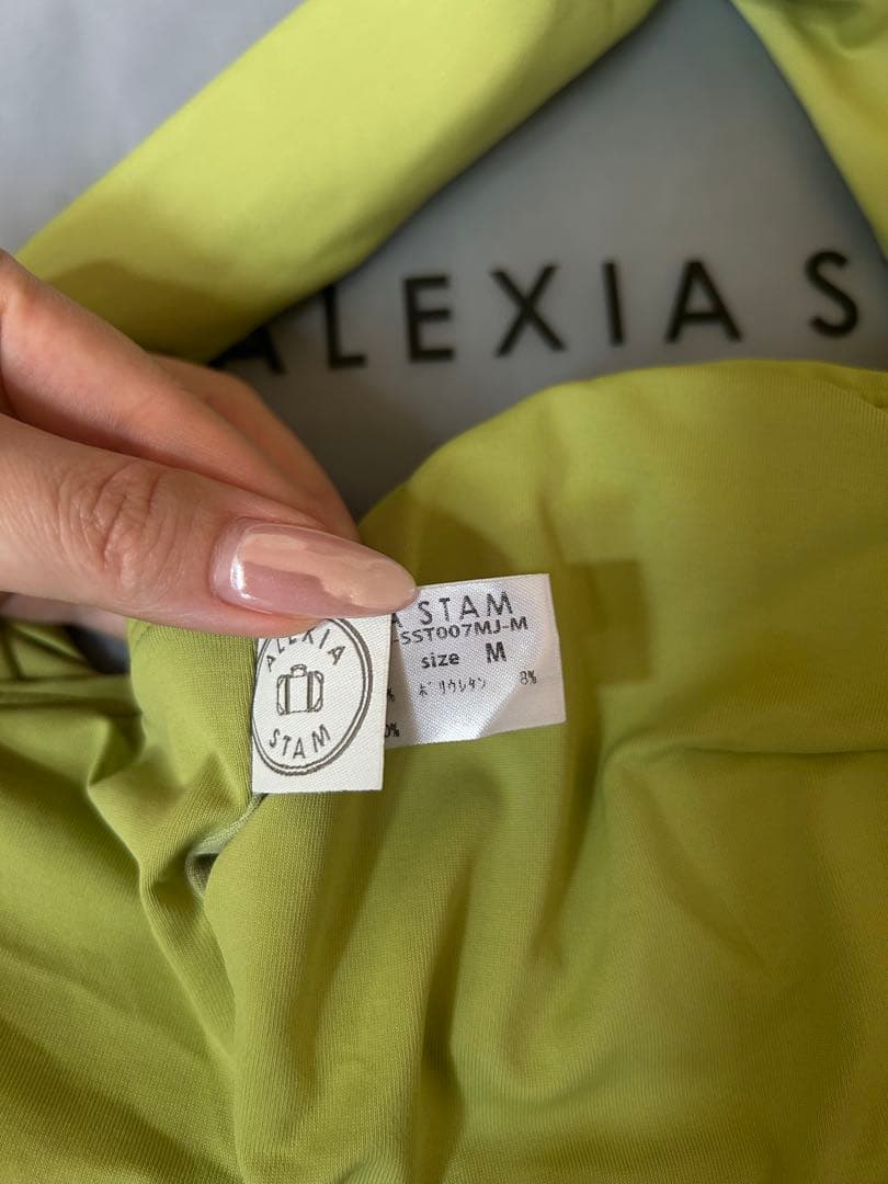 ALEXIA STAM / アリシアスタン　水着上下