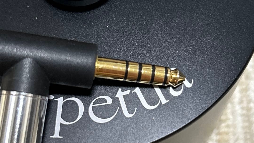 DITA Perpetua ガラスコーティング済