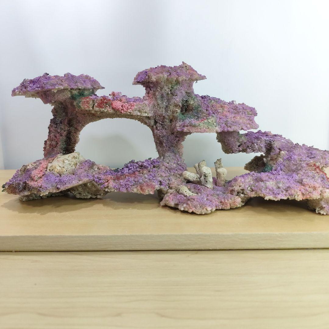 2個セット✐プラグ穴付き 新品 人工ライブロック 60cm海水水槽用 レプリカ
