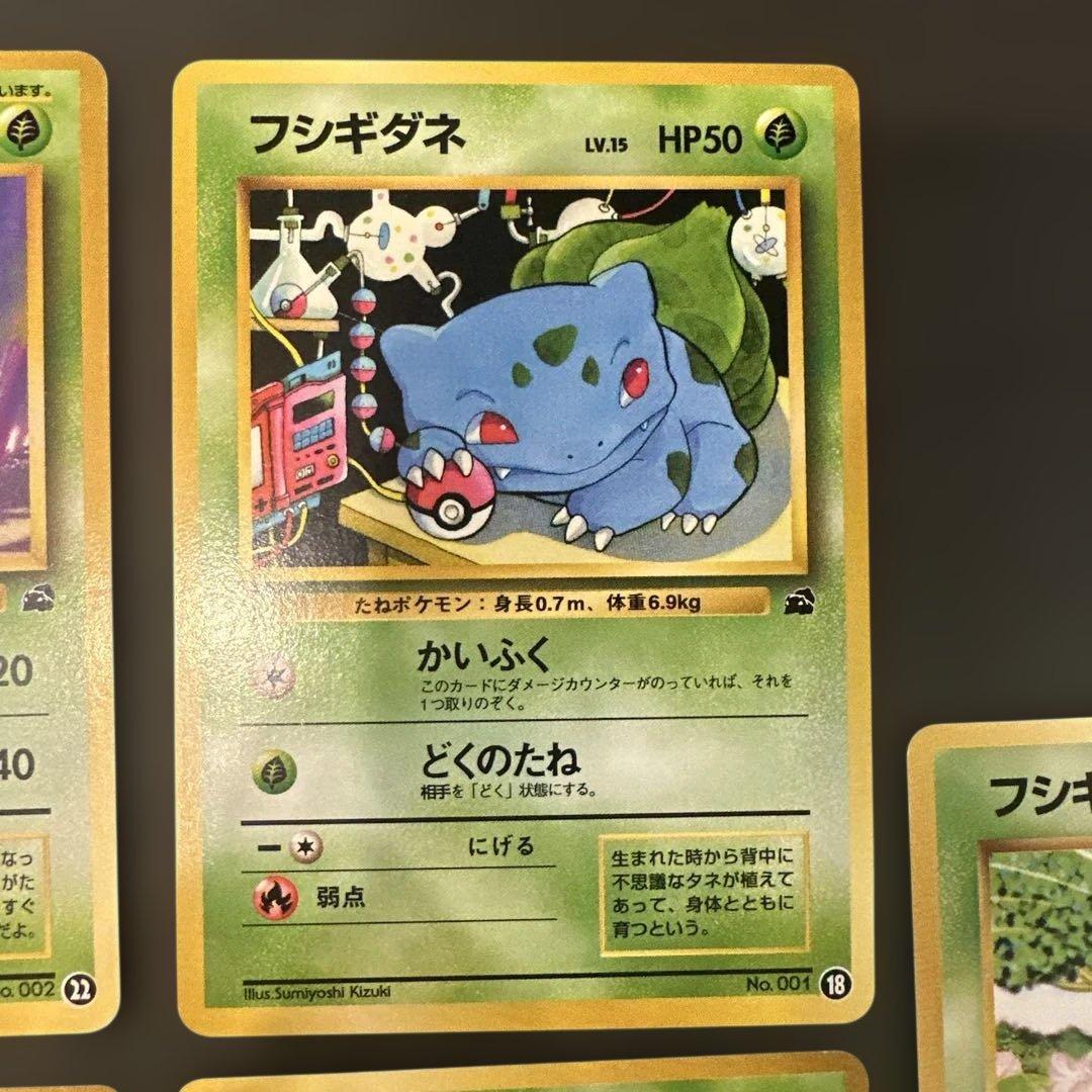 旧裏 フシギダネ