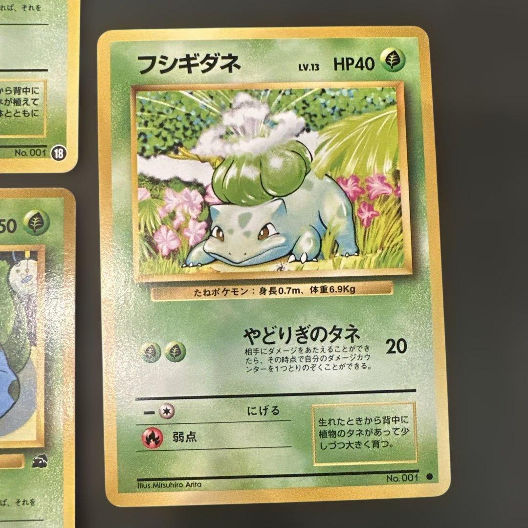 旧裏 フシギダネ