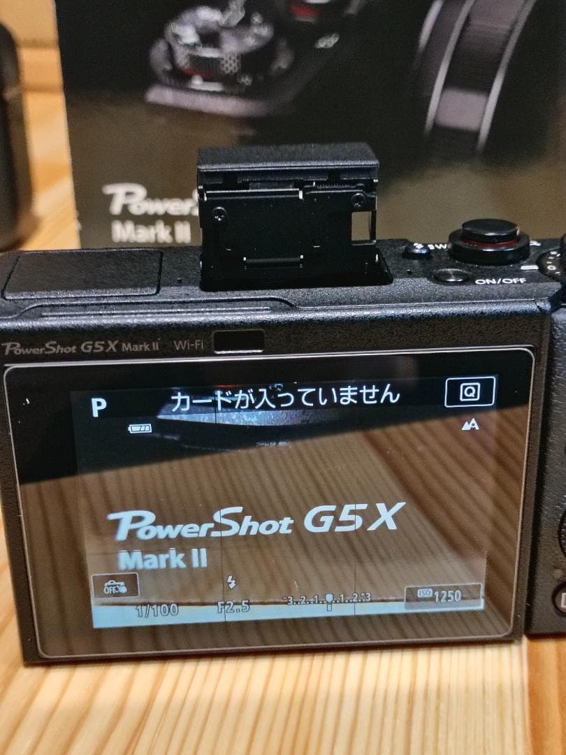 Canon PowerShot G5X Mark II 撮影1277 付属品あり