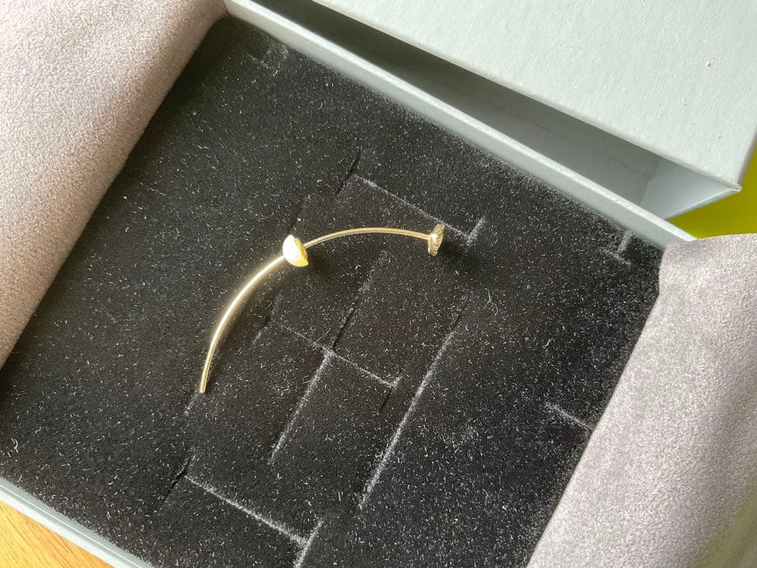 Hirotaka ピアス Evileye Arrow 完売品