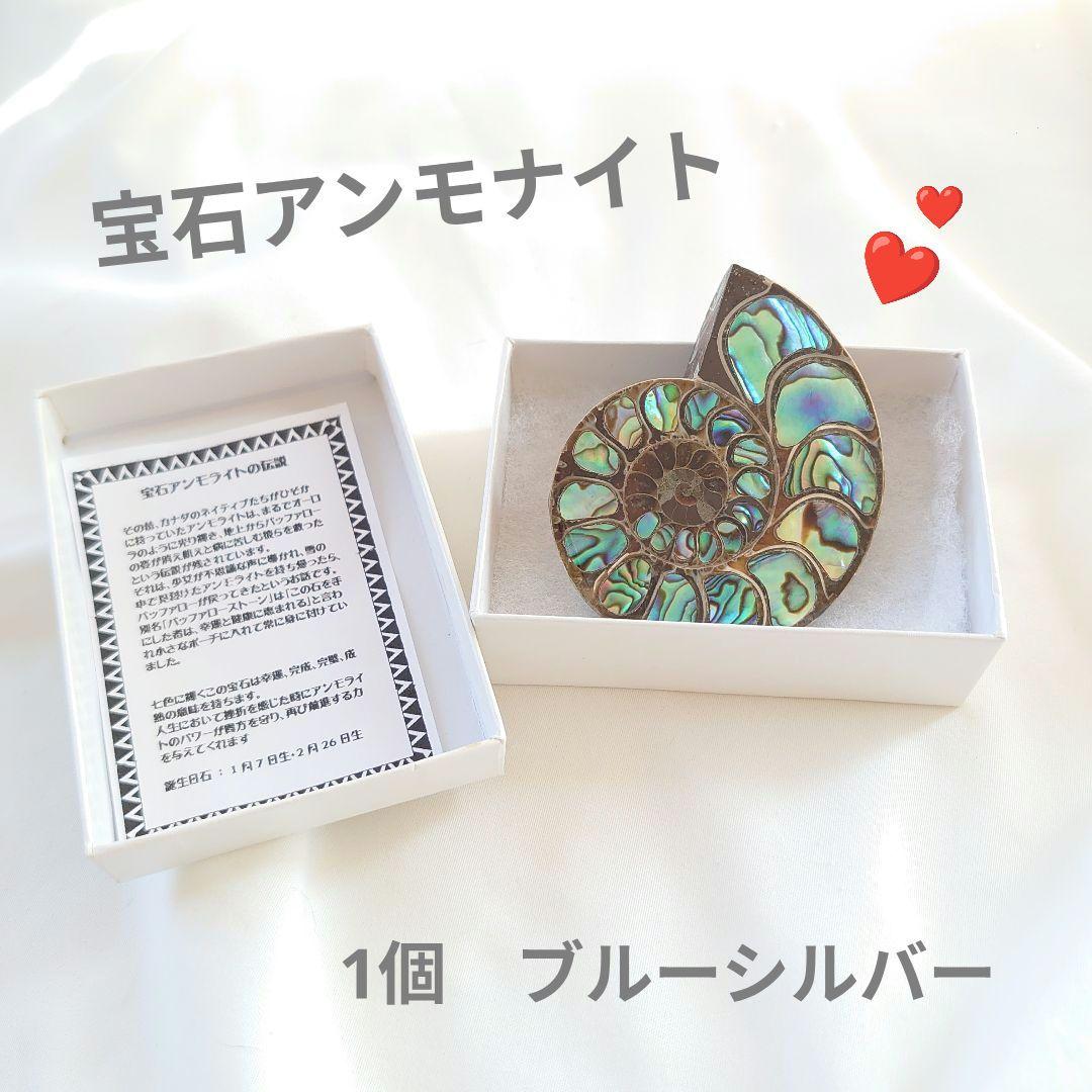 幸運の宝石アンモナイトの化石 約15cm 虹色　コレクション