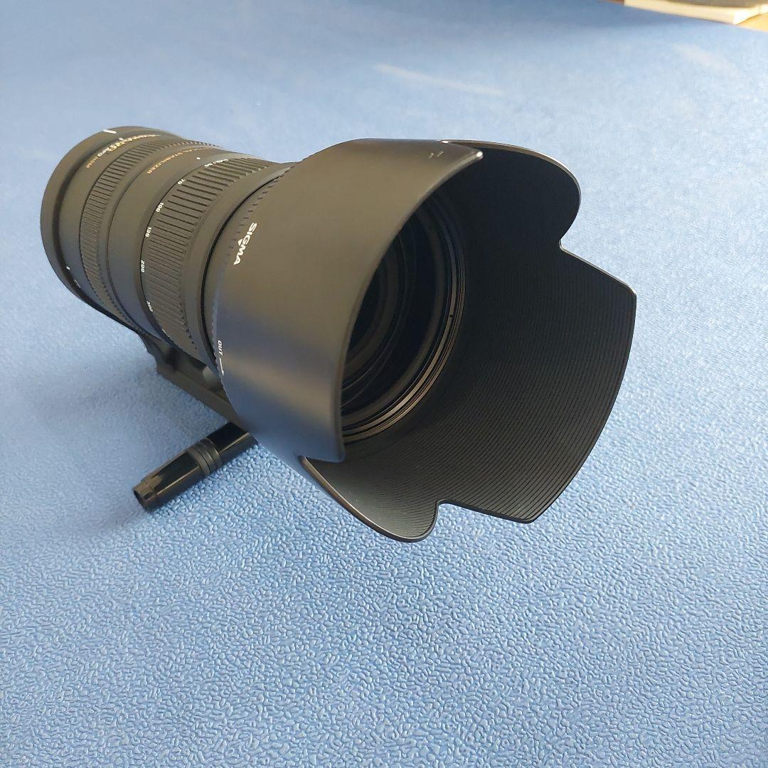 SIGMA 50-500mm F4.5-6.3 DG APO HSM ニコン