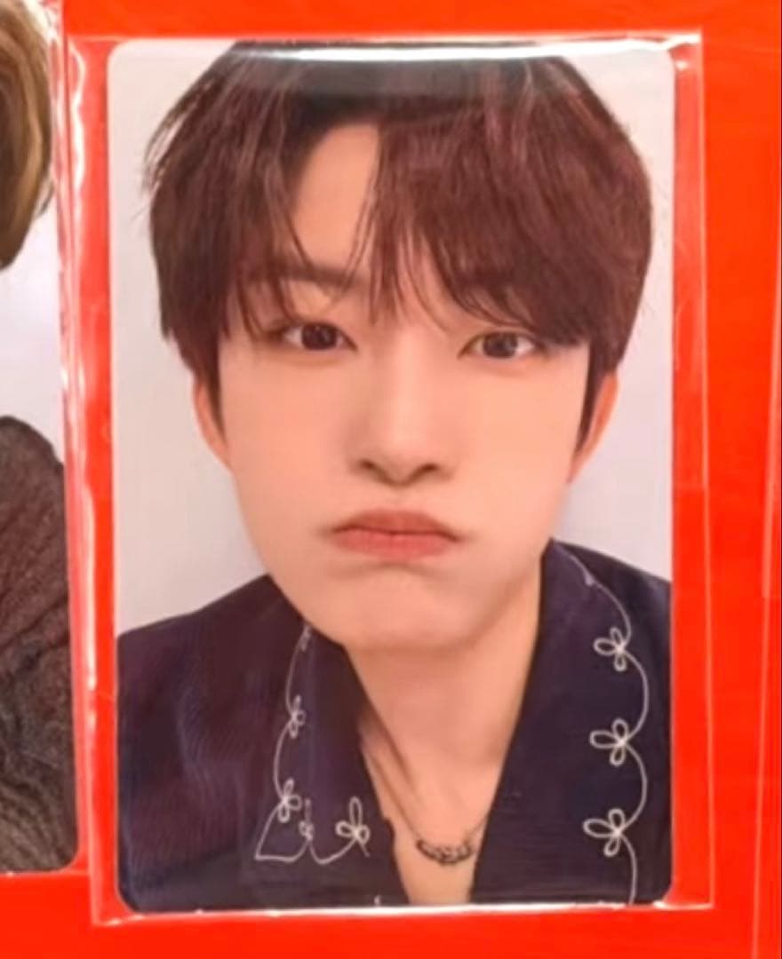 ALD1 ゴヌ EUPHORIA ポップアップ 購入限定 トレカ