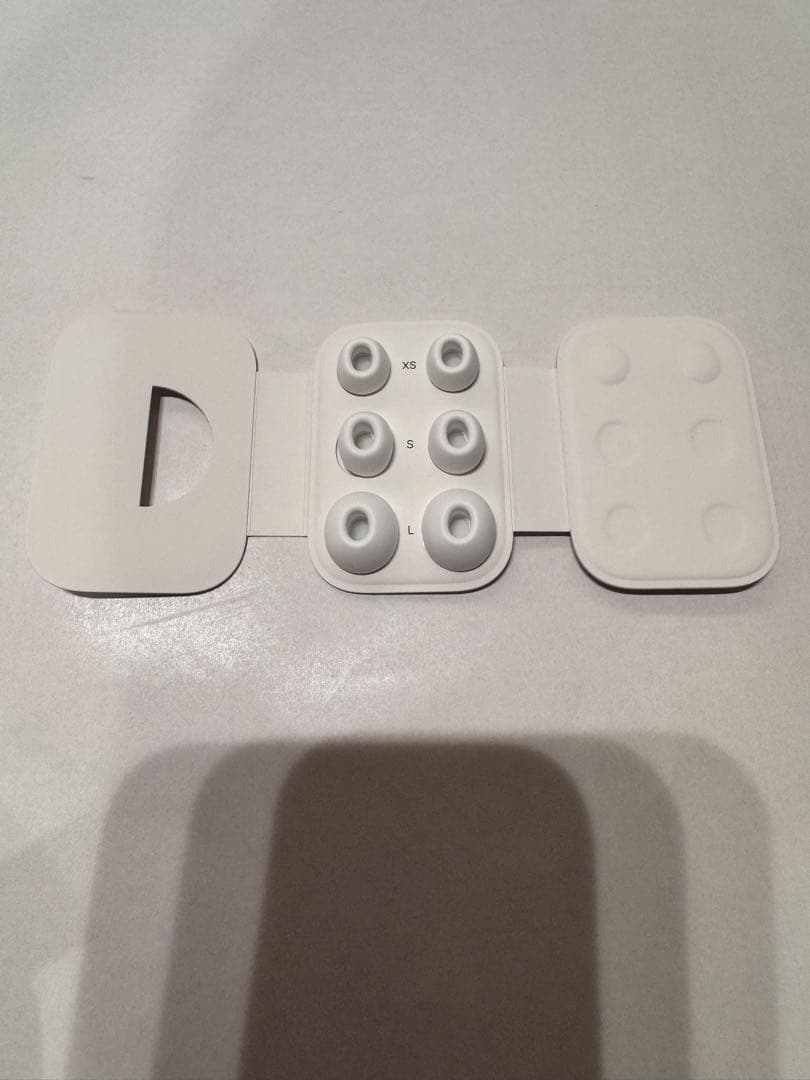 AirPods Pro (第2世代) 本体　USB-C