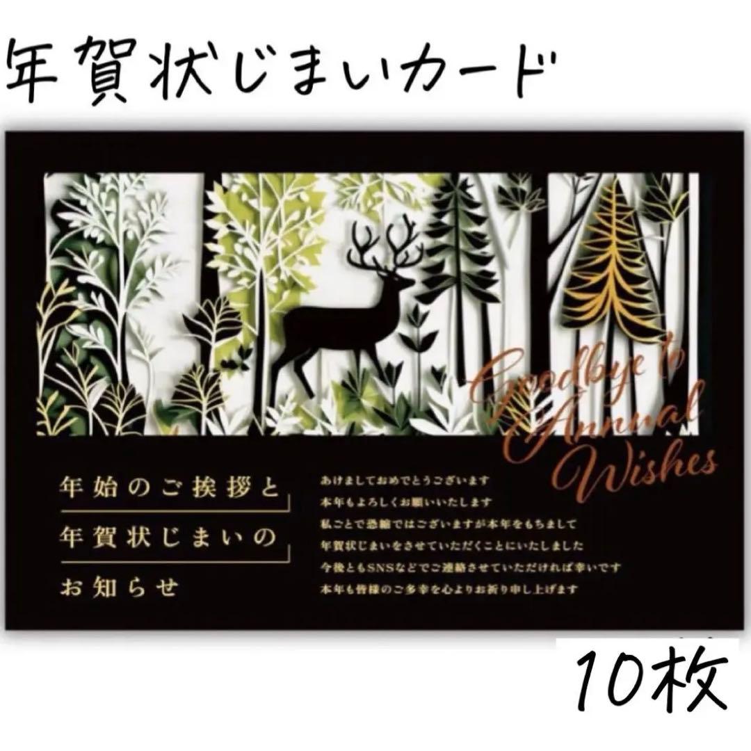 ⭐️年賀状じまい 10枚入り 私製 印刷済み カミノ デザインショップ