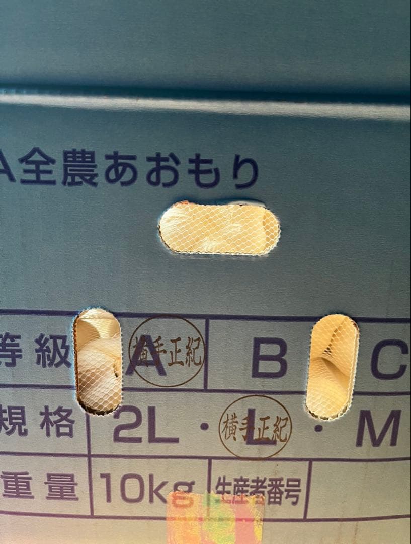 青森産　にんにく　A品Lサイズ　 10キロ　JA全農あおもり　送料無料