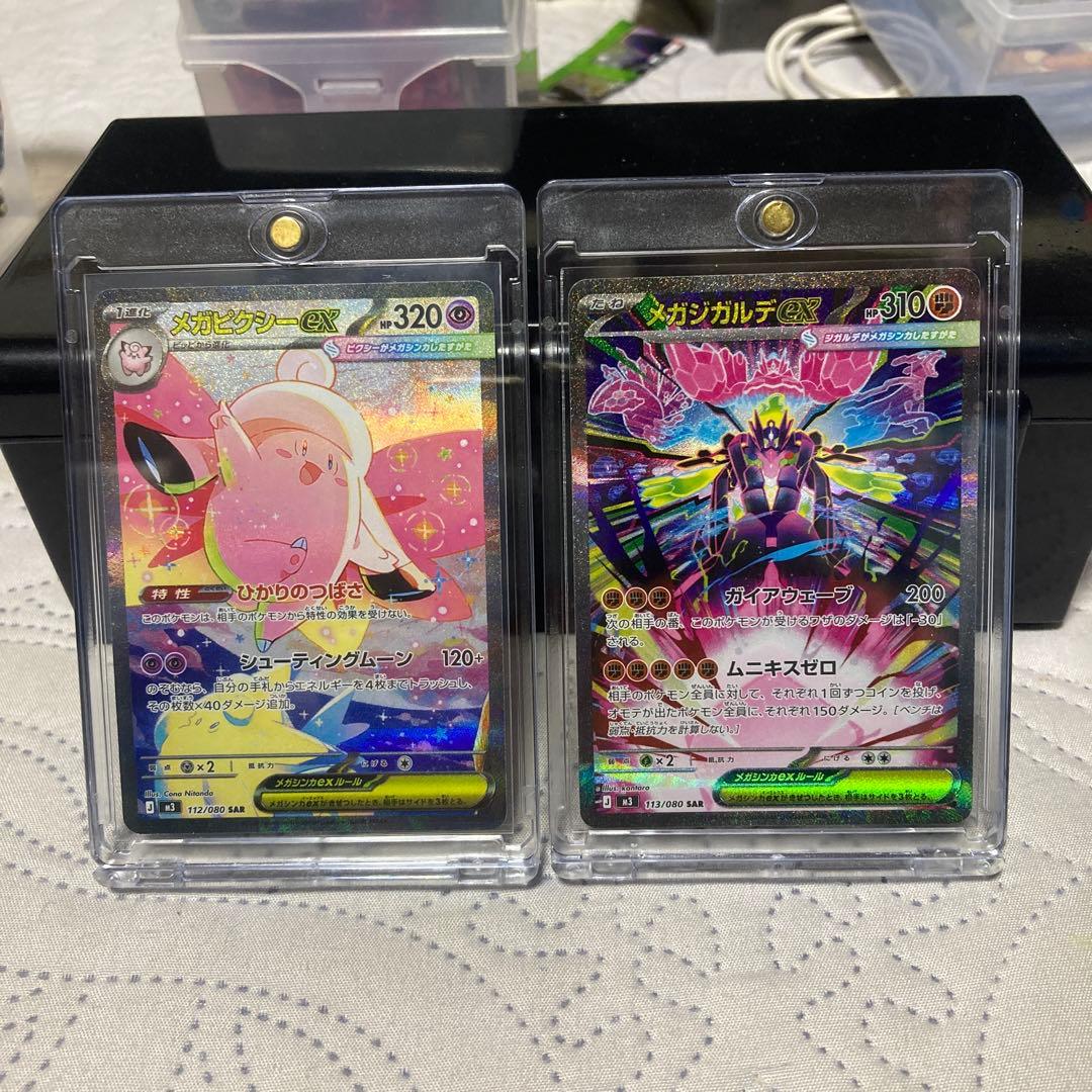 SARメガジガルデ & SARメガピクシー