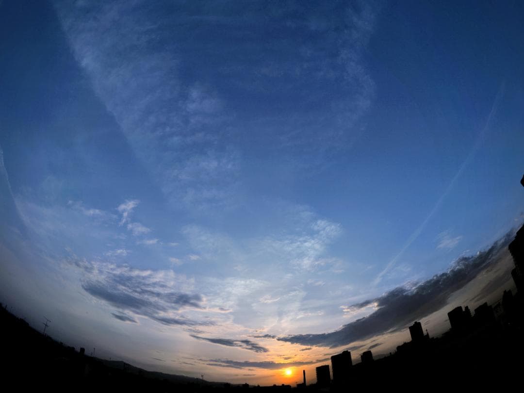 レンズ(単焦点) M.ZUIKO DIGITAL 8mm f1.8 fisheye pro