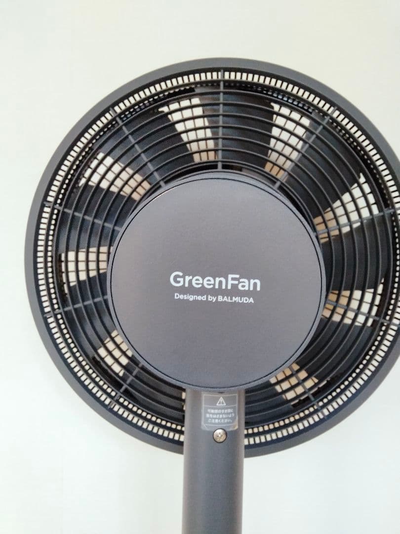 バルミューダ グリーンファンEGF-1600-DK