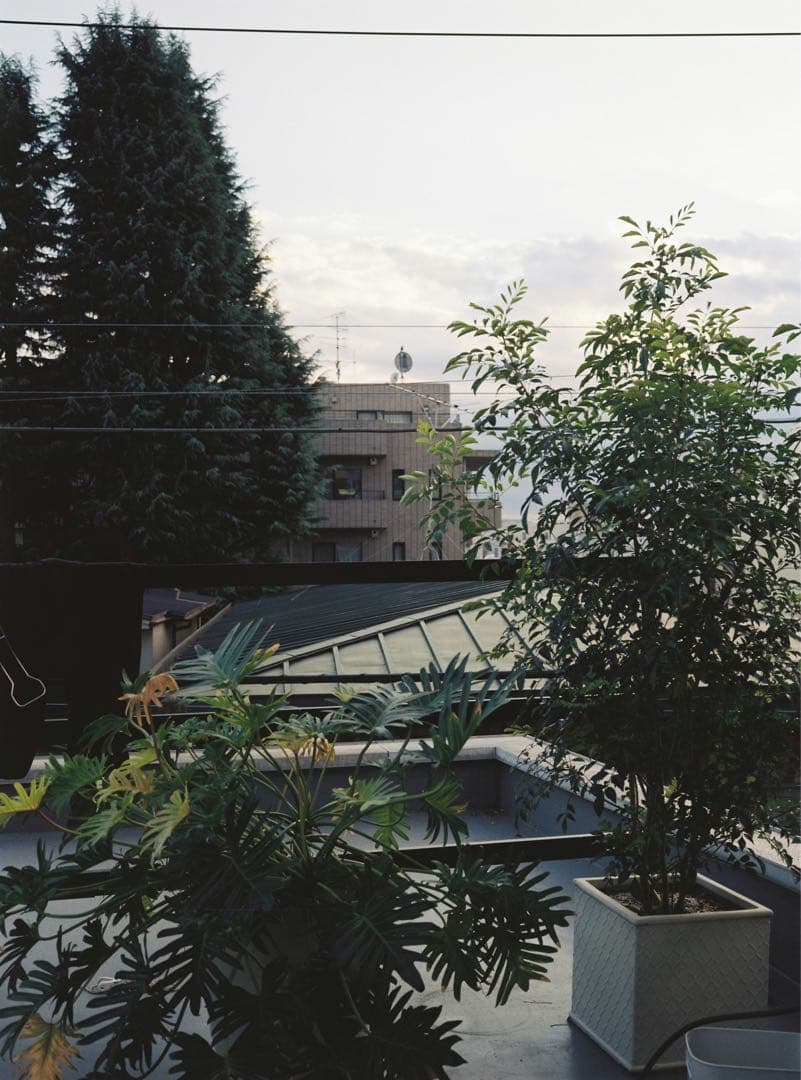 Fujifilm GA645 作例有り