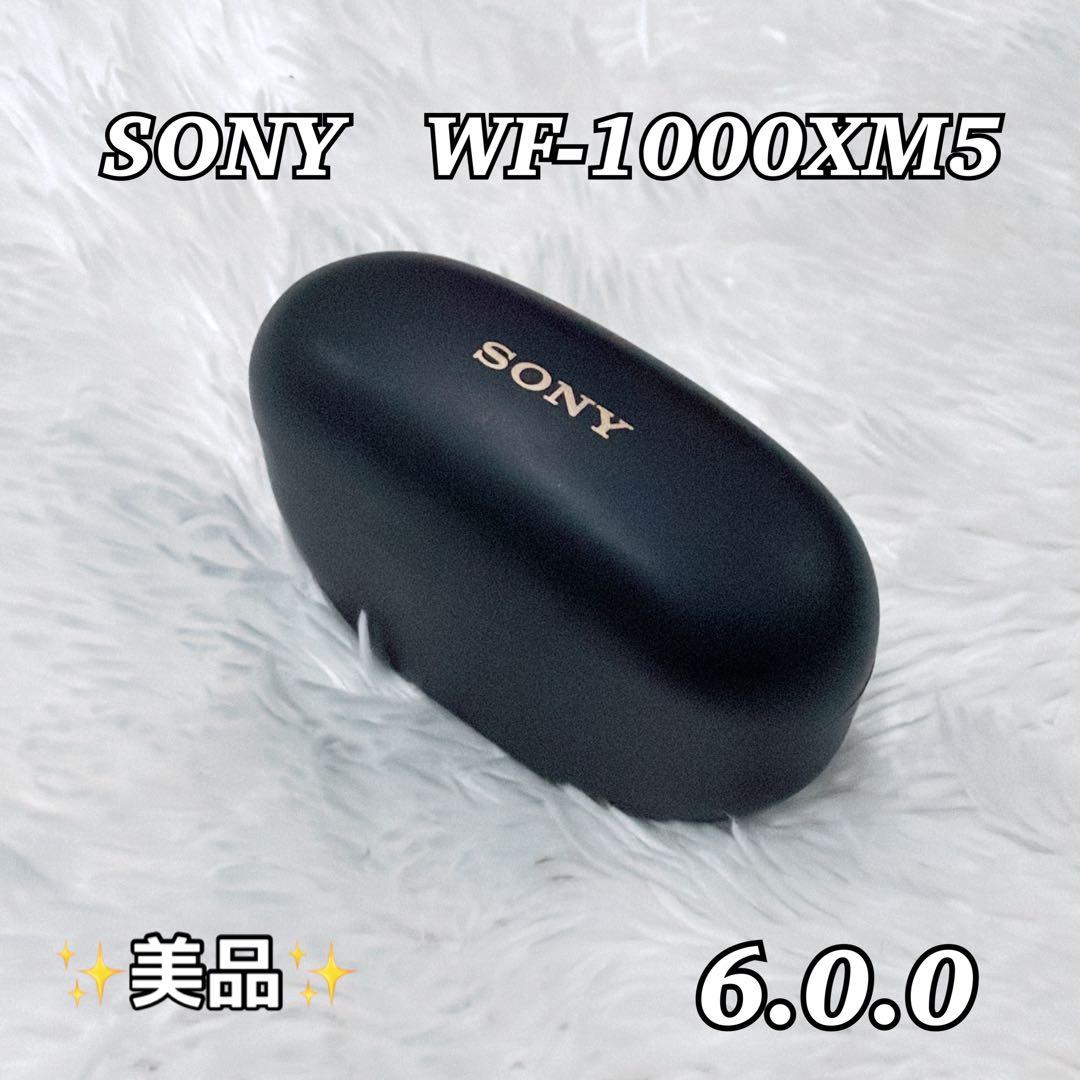 【美品】SONY WF-1000XM5 ブラック ケースのみ ①