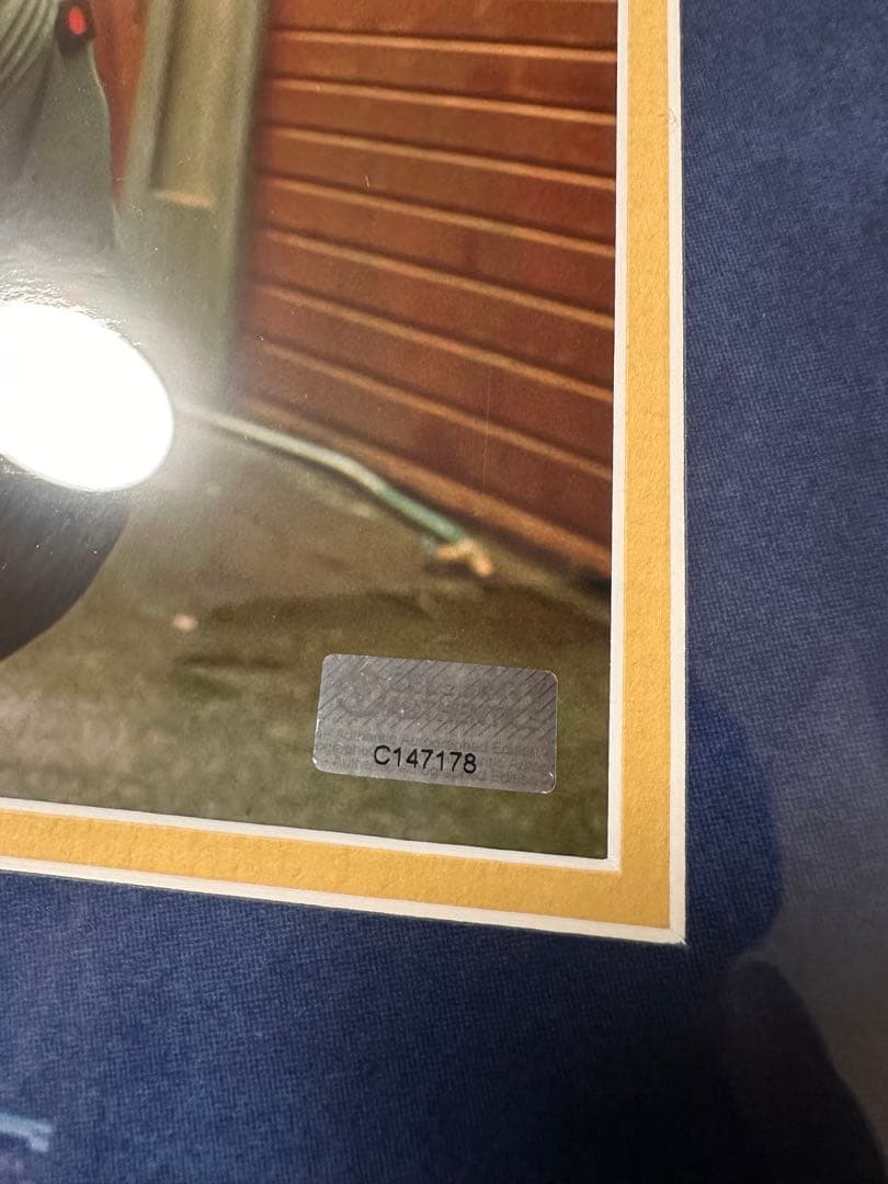 か*！様 Back to the future マイケルJフォックス　サイン入り