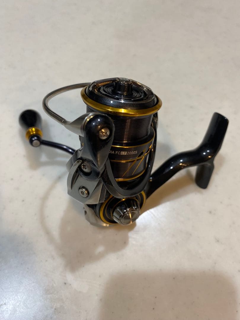 ダイワ 21カルディア FCLT2000S