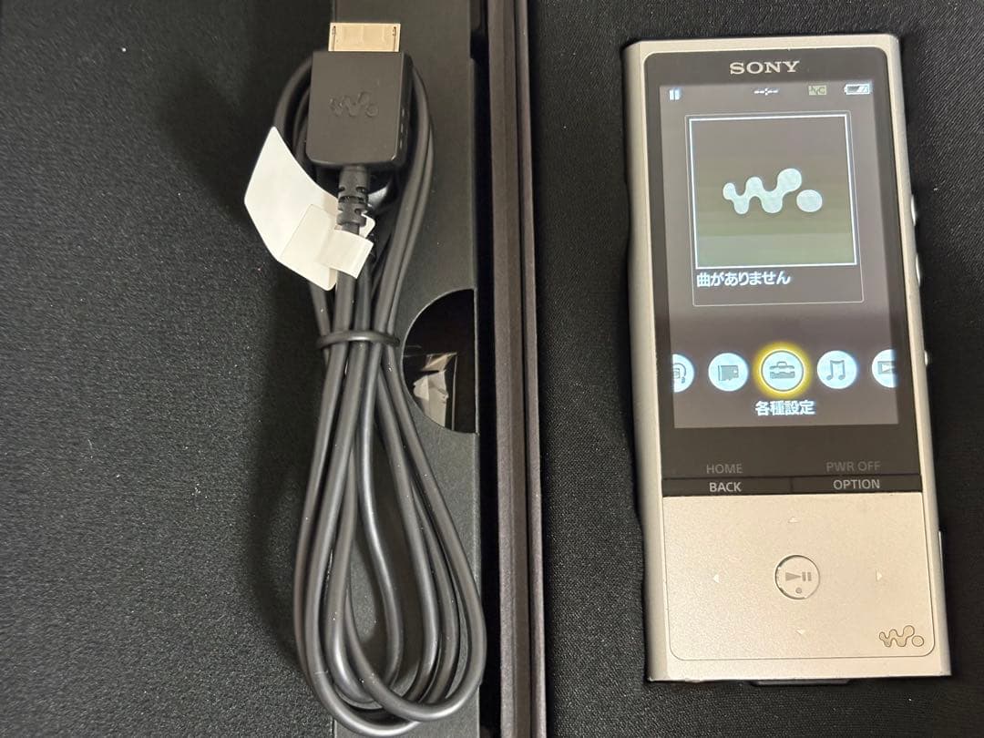 SONY ウォークマンNW-ZX100 デジタルオーディオプレーヤー 128GB