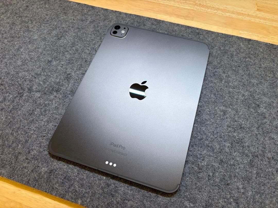 本日限定価格 保証残有 iPad Pro 11 M4 256GBセルラー