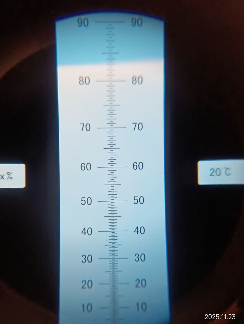 ニホンミツバチの百花蜜　国産天然ハチミツ　1180グラム　2本