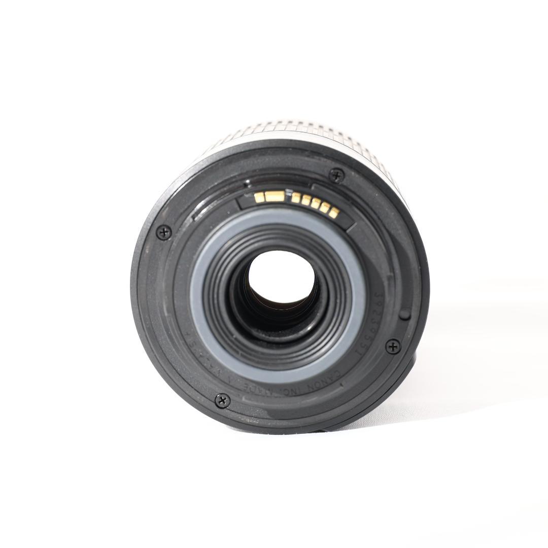 【手振れ補正付】EF-S55-250mm F4-5.6 IS 初心者オススメ