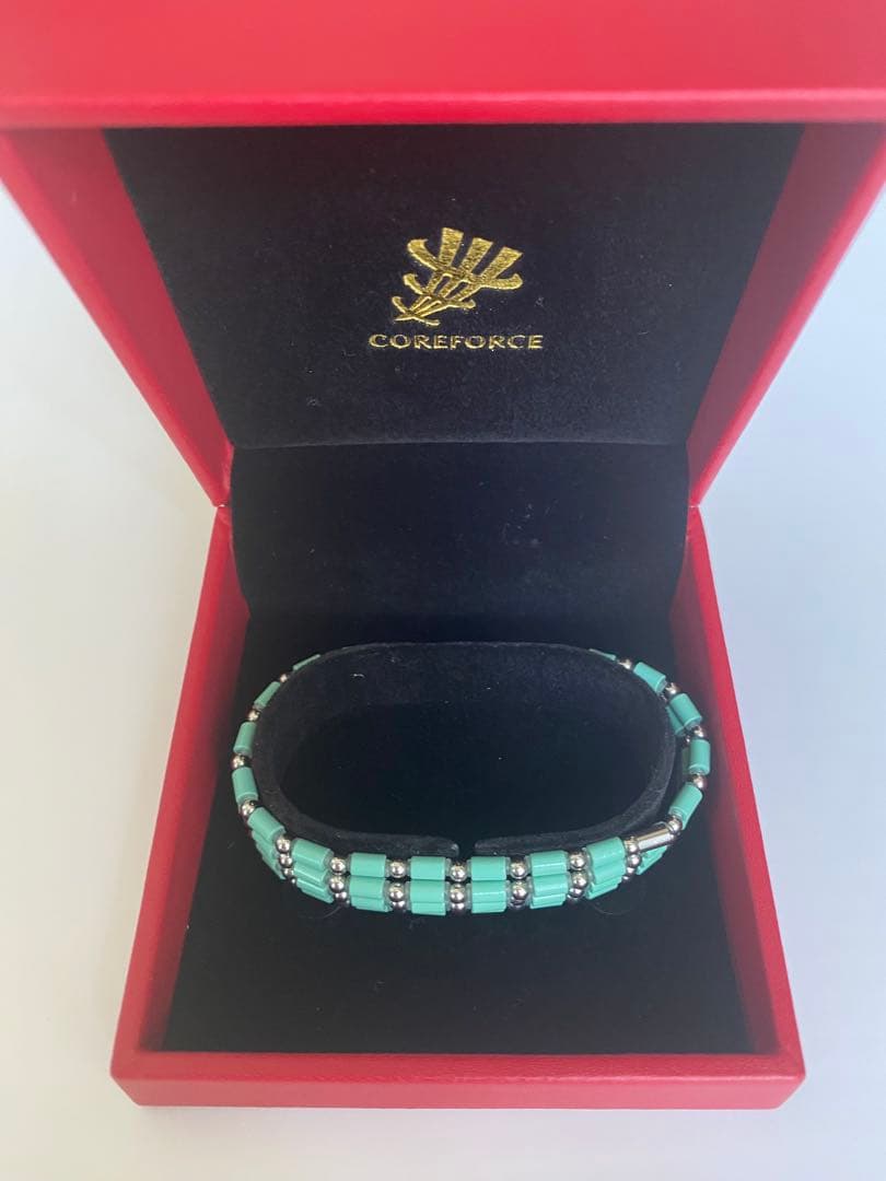 COREFORCE MARINE SUS 70cm（コアフォース マリン ）