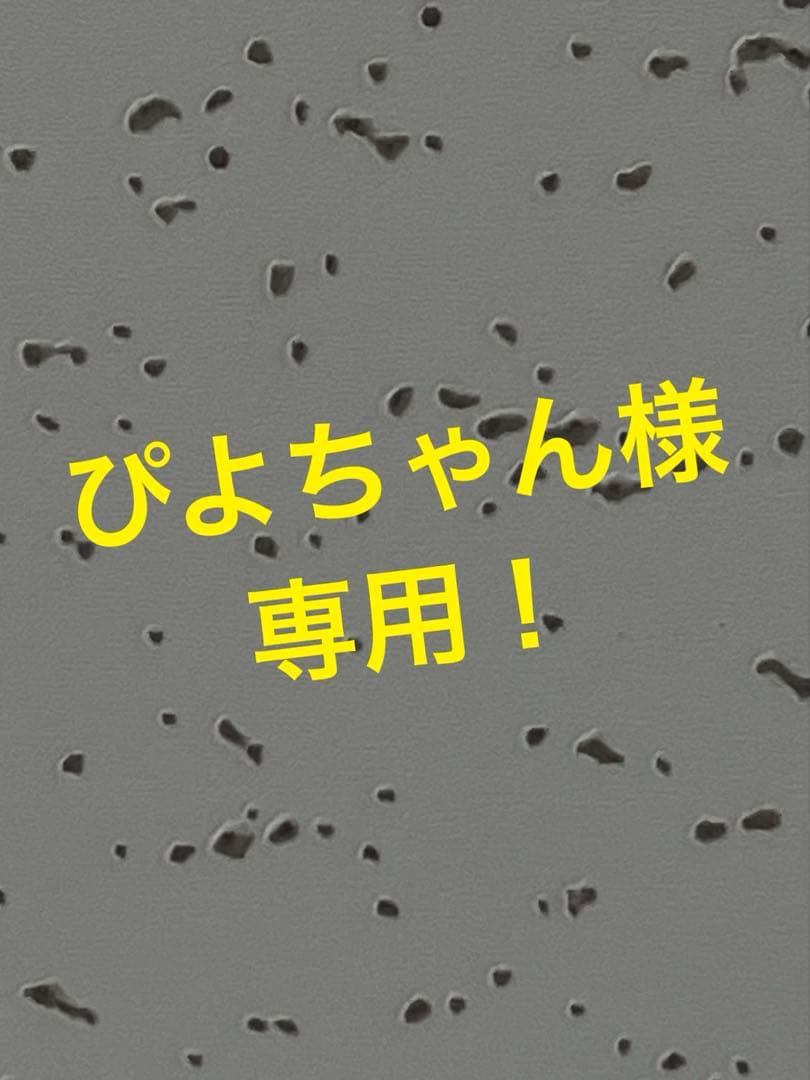 ぴよちゃん！ アクリルケース