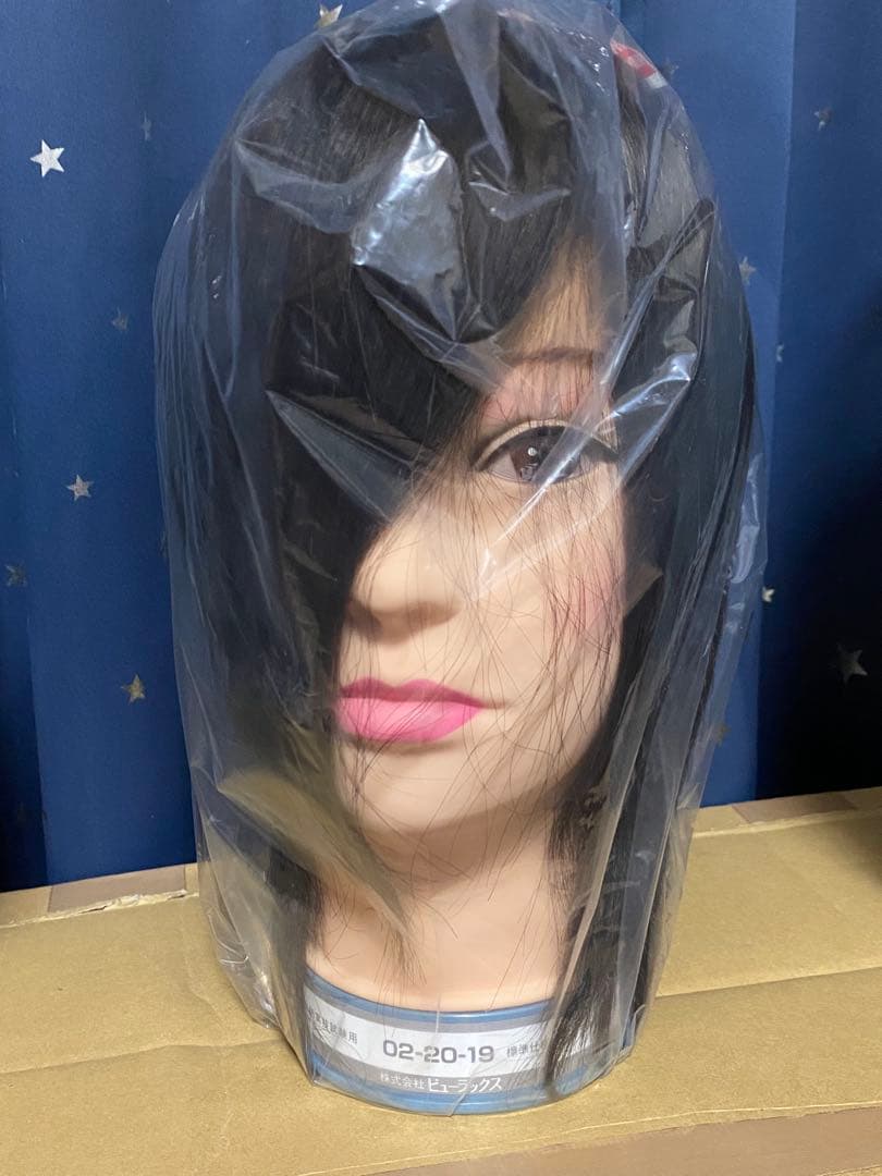 美容学校用 ウィッグ ビューラックス 02-20-19 6個