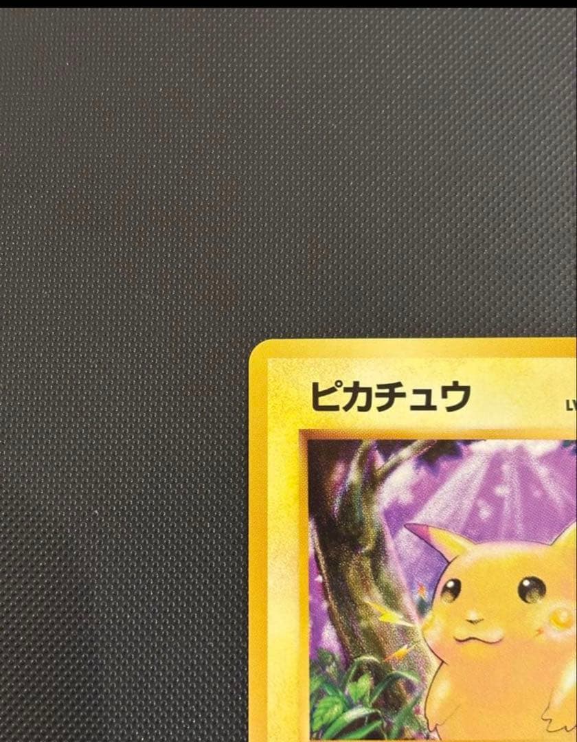 YSK様 リクエスト 3点 まとめ商品【ピカチュウ ・フリーザー ・サンダー】