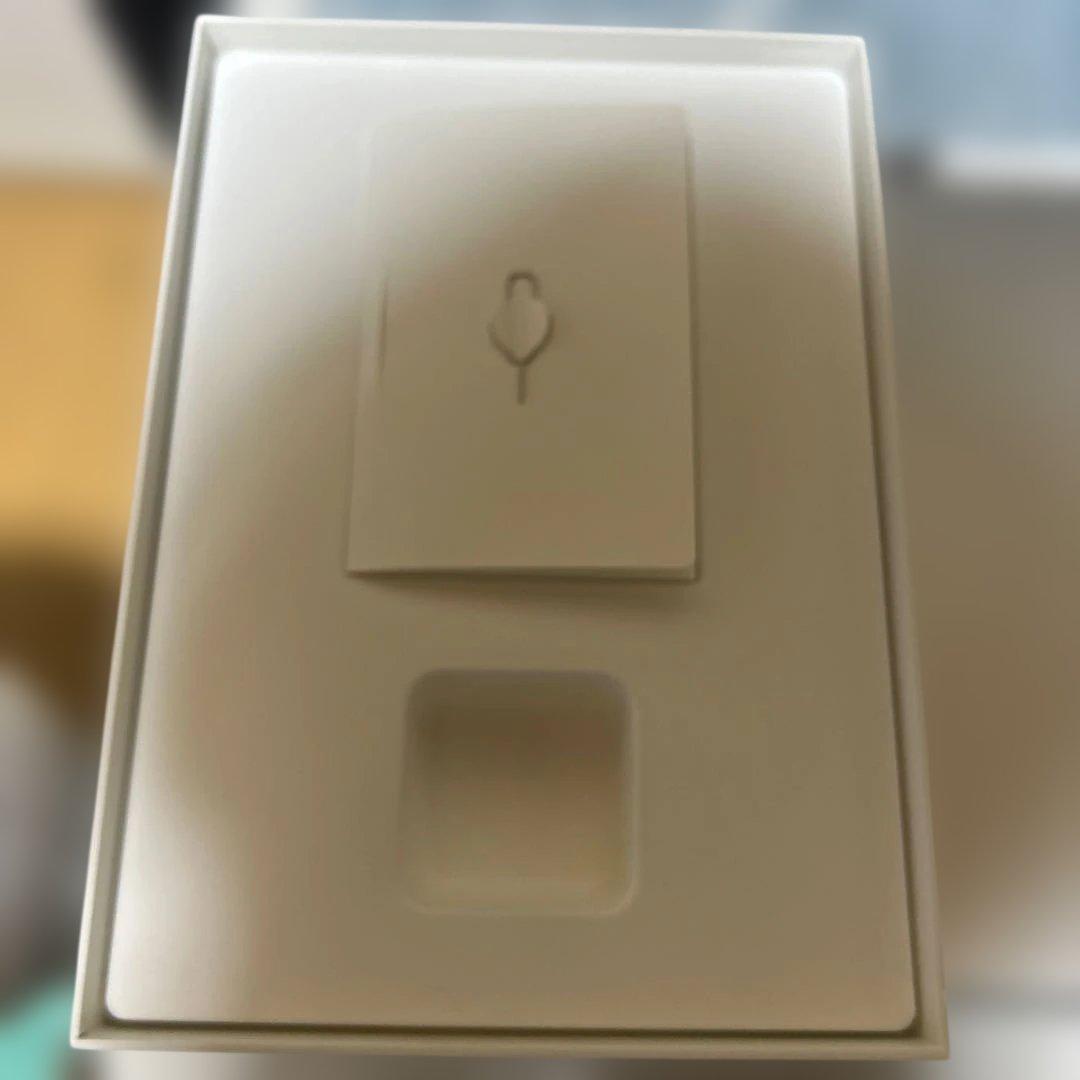 Apple iPad 第7世代Wi-Fi+Cellularシルバー 本体 箱付き