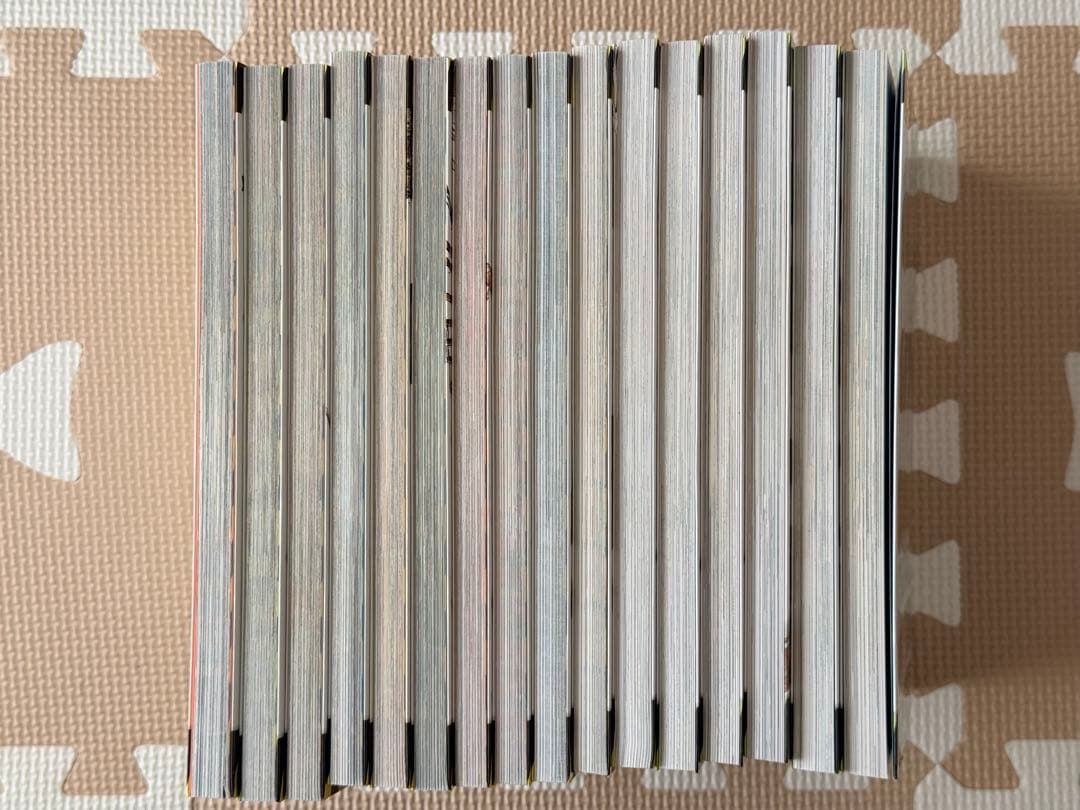 ジャングルサバイバル10冊　ピラミッドサバイバル4冊　古代遺跡のサバイバル2冊