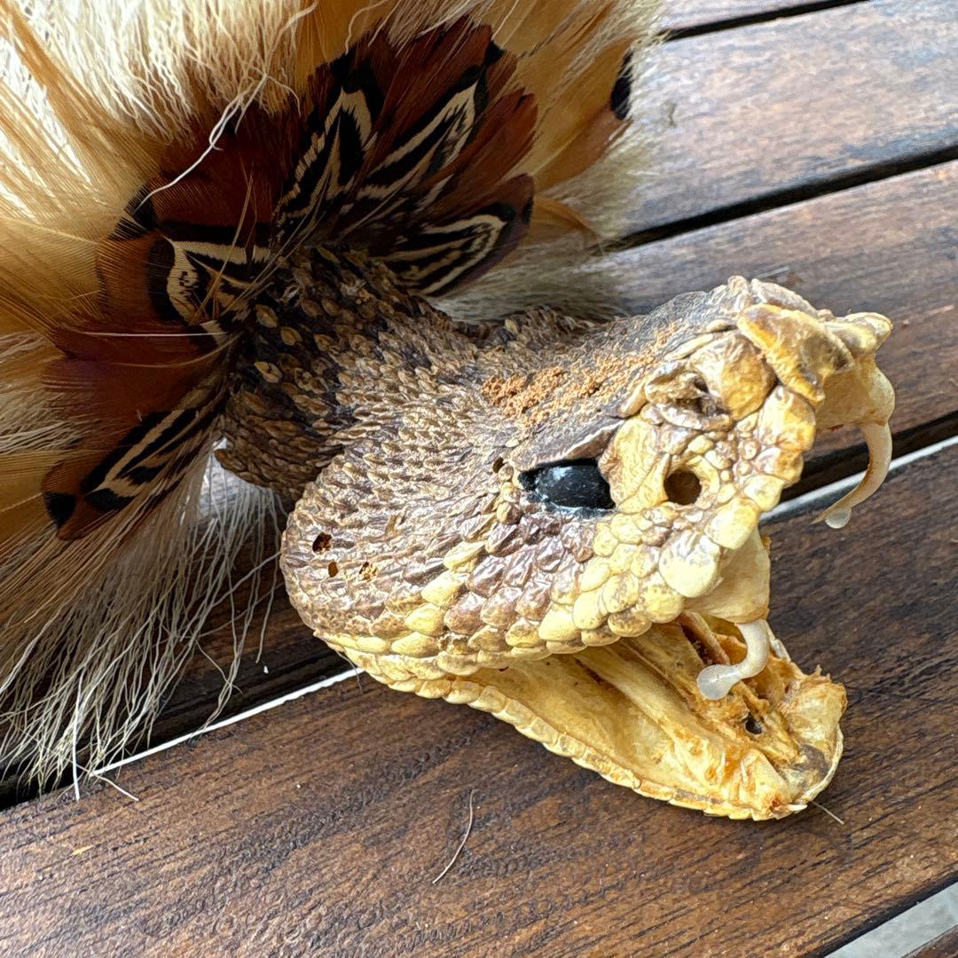 ガラガラ蛇のハットベルト、本物、蛇の剥製、蛇革