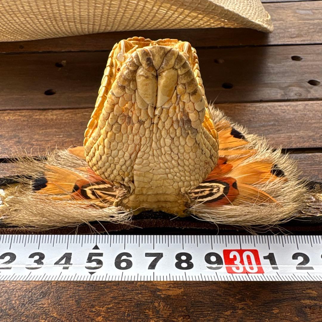 ガラガラ蛇のハットベルト、本物、蛇の剥製、蛇革