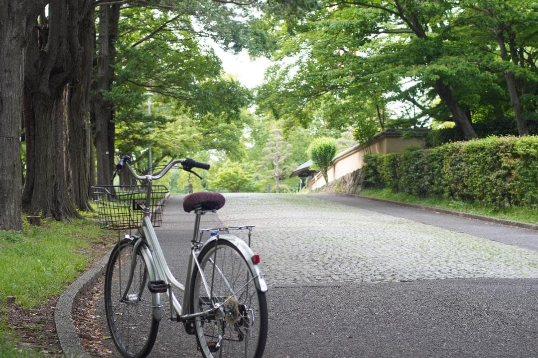 オリンパスOM-1 ブラック / OM-SYSTEM 50mm F1.8